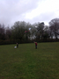 kite39.JPG