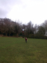 kite40.JPG