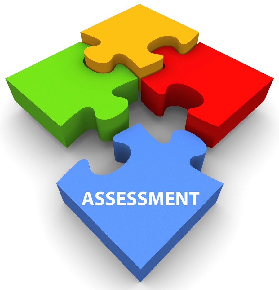 Click here for assessment statement
