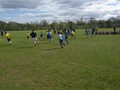RIMG0056.JPG