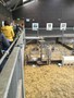 IMG_4541.JPG