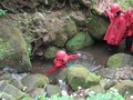 IMG_0761.JPG