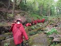 DSCF5101.JPG