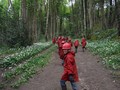 DSCF5098.JPG