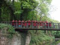 DSCF5094.JPG
