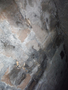 DSCF5082.JPG