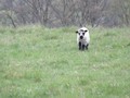 IMG_0751.JPG