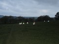 IMG_0875.JPG
