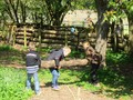 IMG_0896.JPG