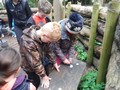 DSCF5154.JPG