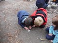 DSCF5153.JPG