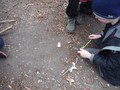 DSCF5150.JPG