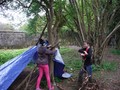 DSCF5142.JPG