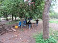 IMG_0882.JPG