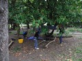 DSCF5138.JPG