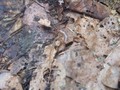 DSCF9368.JPG