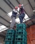 DSCN4352.JPG