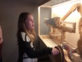IMG_0289.JPG