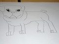 pug drawings (6).JPG