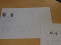 pug drawings (10).JPG