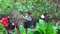 WP_20170512_14_25_52_Pro_LI.jpg