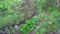 WP_20170512_14_40_28_Pro_LI.jpg