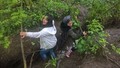 WP_20170512_14_43_11_Pro_LI.jpg