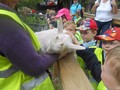 DSCN6969.JPG