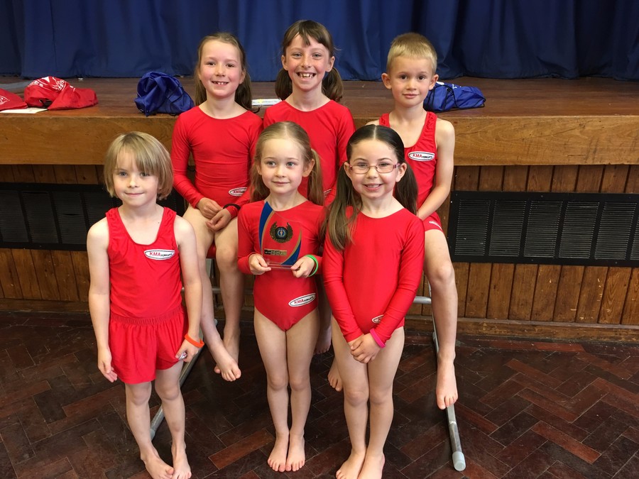 Gymnastics Success for Elmsett!