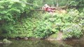 DSCF2688.JPG
