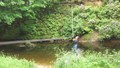 DSCF2697.JPG