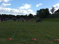 IMG_6685.JPG