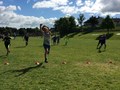 IMG_6743.JPG