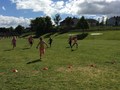 IMG_6747.JPG