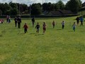 IMG_6773.JPG