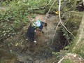 DSCF6650.JPG