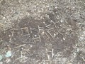 DSCF6646.JPG