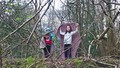 WP_20170331_11_02_47_Pro.jpg