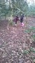 WP_20170206_008.jpg