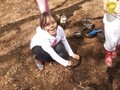 DSCF6913.JPG