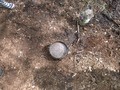 DSCF6911.JPG