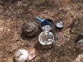 DSCF6910.JPG