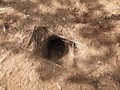 DSCF6914.JPG