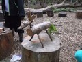 DSCF6916.JPG