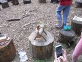 DSCF6915.JPG