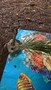 WP_20170320_14_37_14_Pro.jpg
