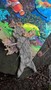 WP_20170320_14_35_23_Pro.jpg