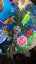 WP_20170320_14_34_49_Pro.jpg