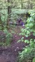 WP_20170515_003.jpg