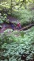 WP_20170515_001.jpg